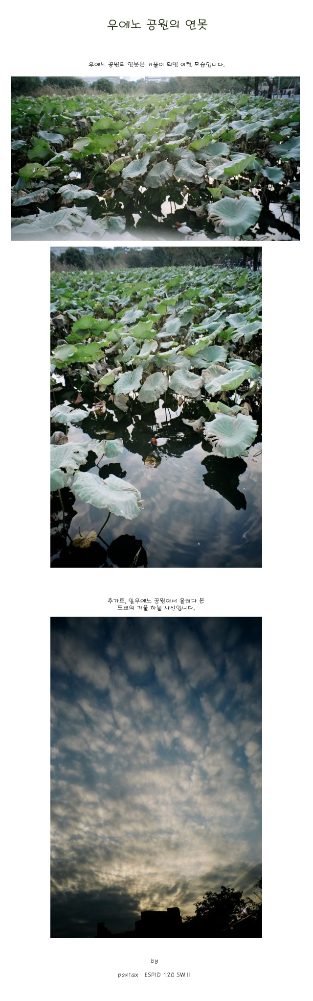 [ �� �� ] �쿡�� ������ ����